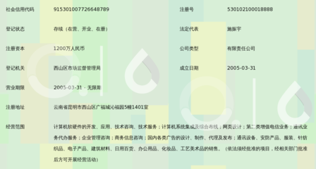 昆明凌宇志达网络科技 专业信息咨询服务驱动数字化转型