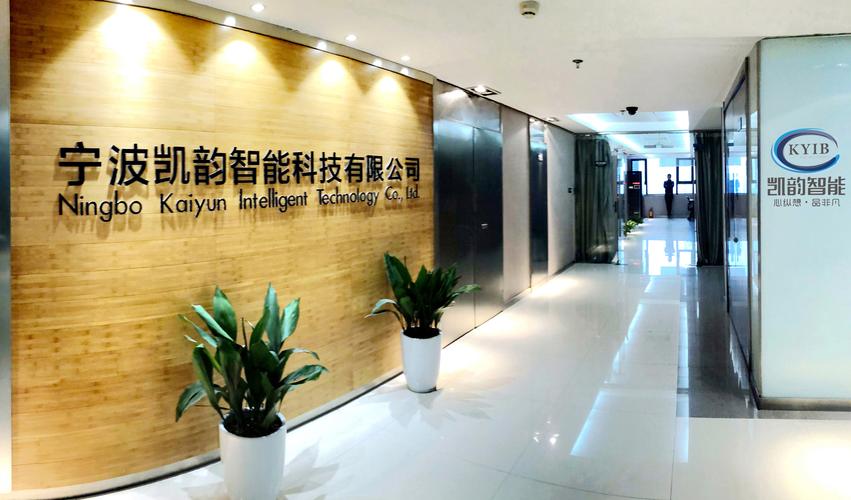 宁波凯韵智能科技 智能时代的专业信息咨询伙伴